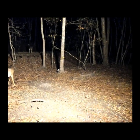 Meet your Posher, Sam - Picture 1 of 1